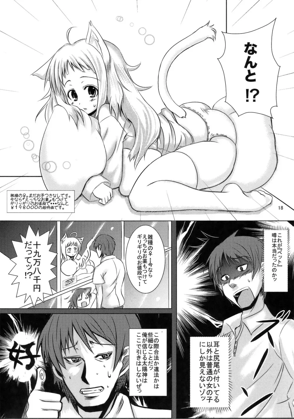 俺達の信じる太陽を信じろっ! Page.17