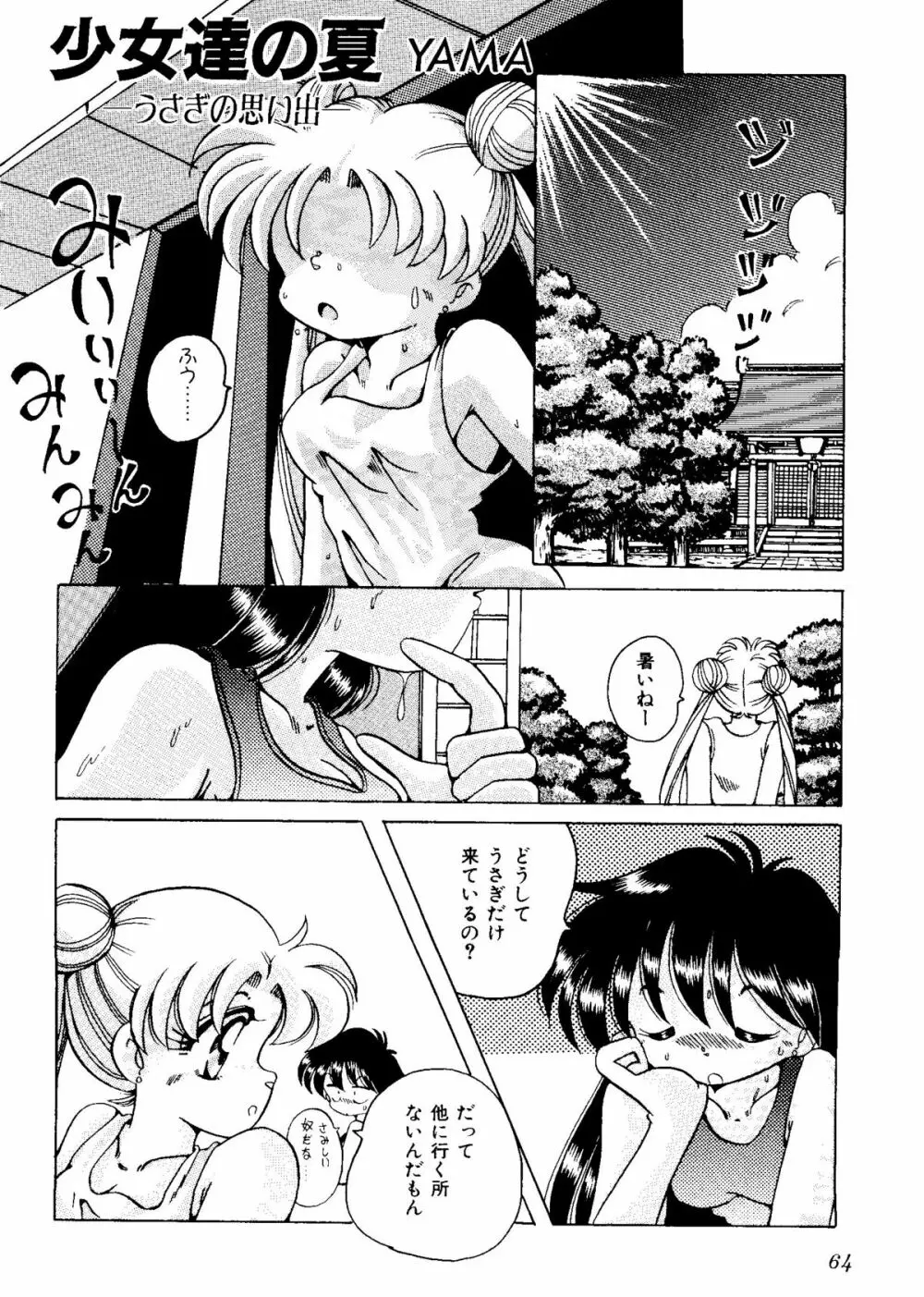 カラフルムーン6 セーラームーン) Page.66