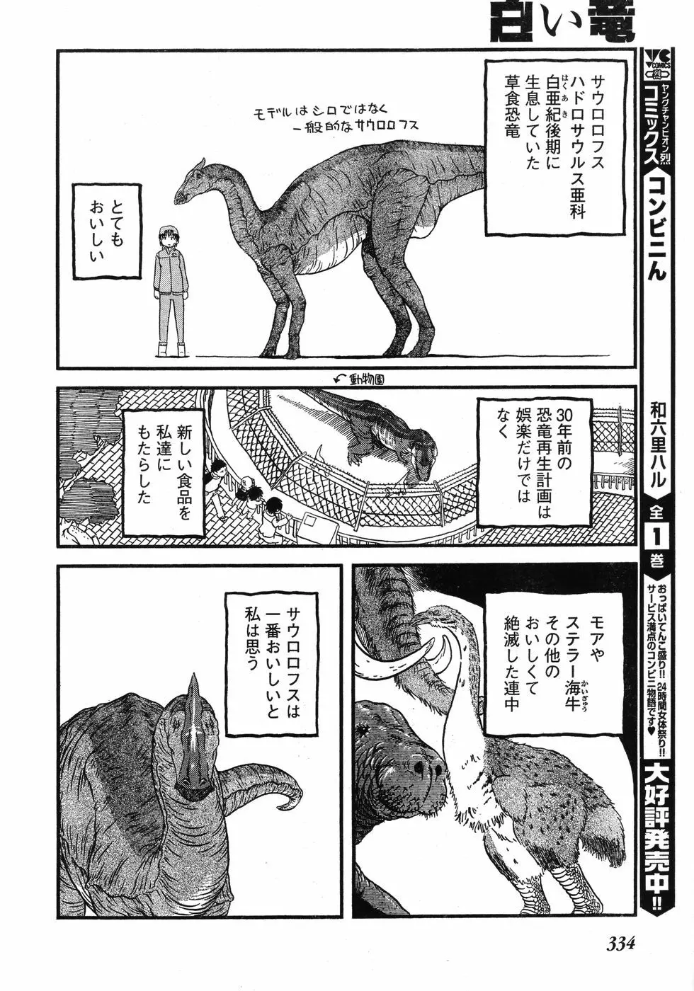ヤングチャンピオン烈 Vol.12 Page.325