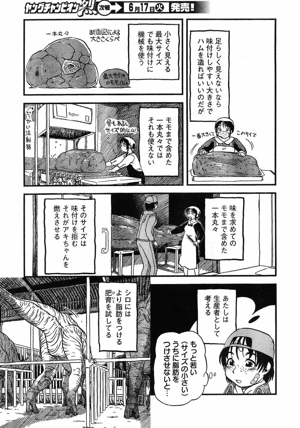 ヤングチャンピオン烈 Vol.12 Page.333