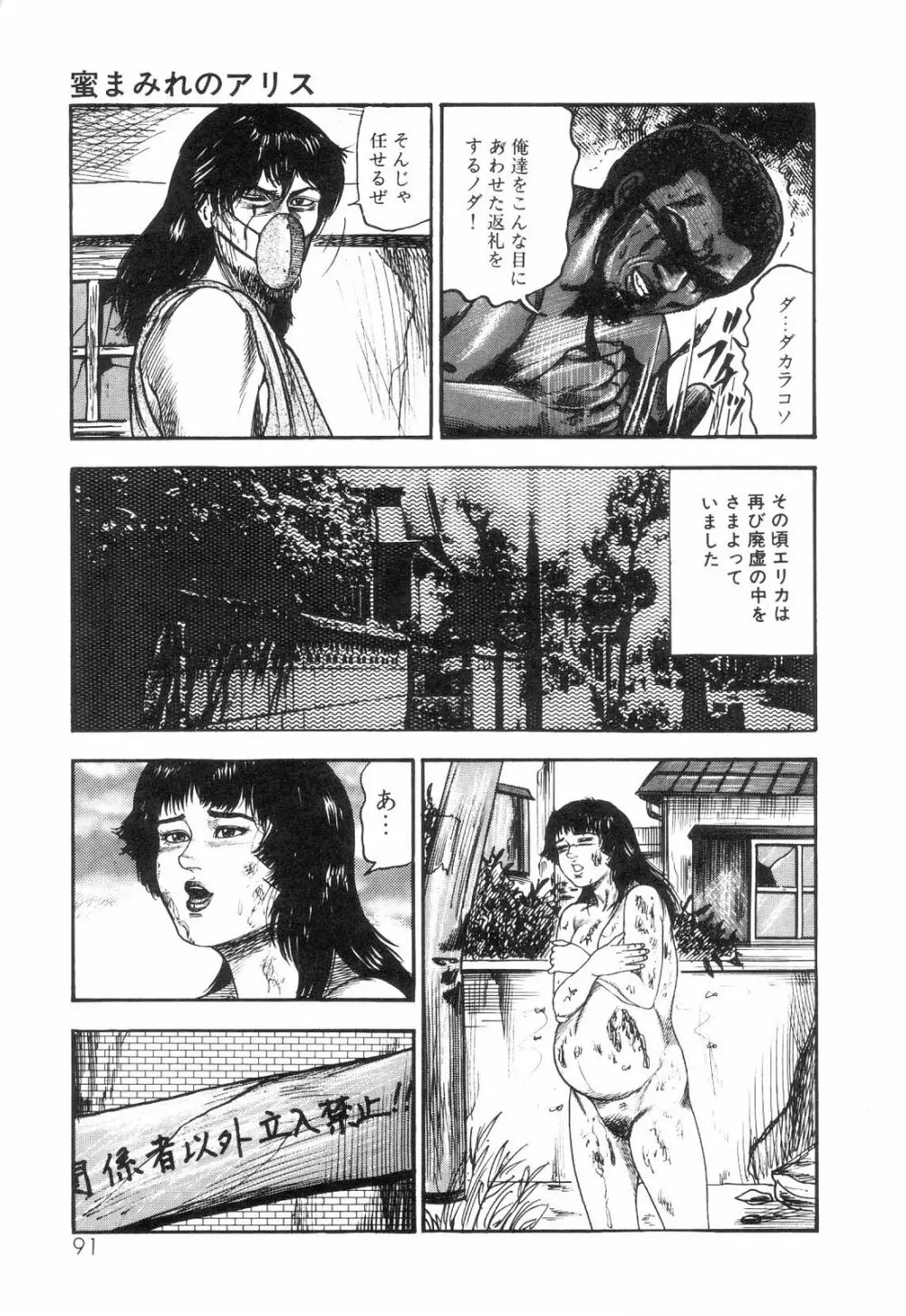 白の黙示録 第6巻 獣愛エリカの章 Page.93