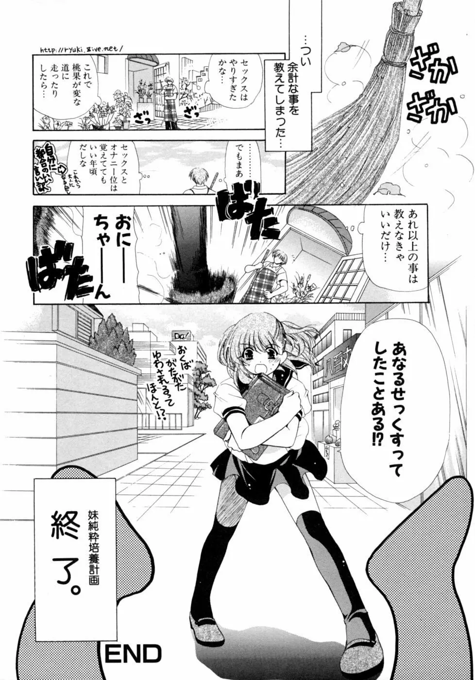 いもうとなぶり【妹嬲】 実妹近親相姦アンソロジー Page.18