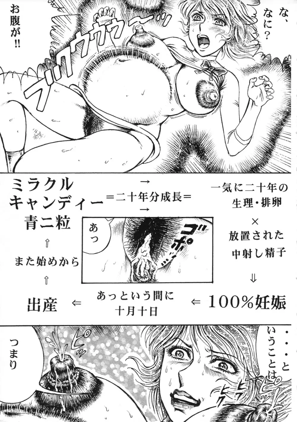 用心棒オタクまつり 8 Page.12