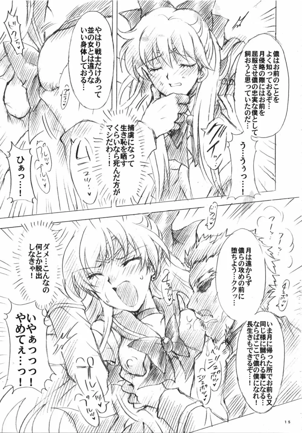 犠牲と祈りを… Page.15