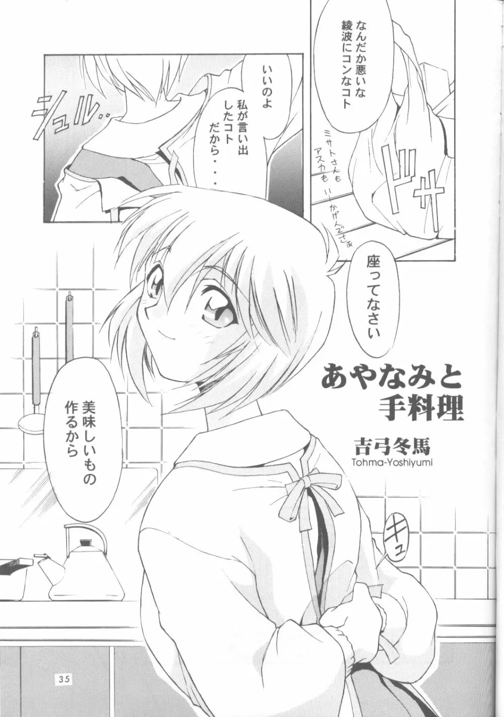Ayanami Rei-shiki; Neon Genesis Rei-II Page.34
