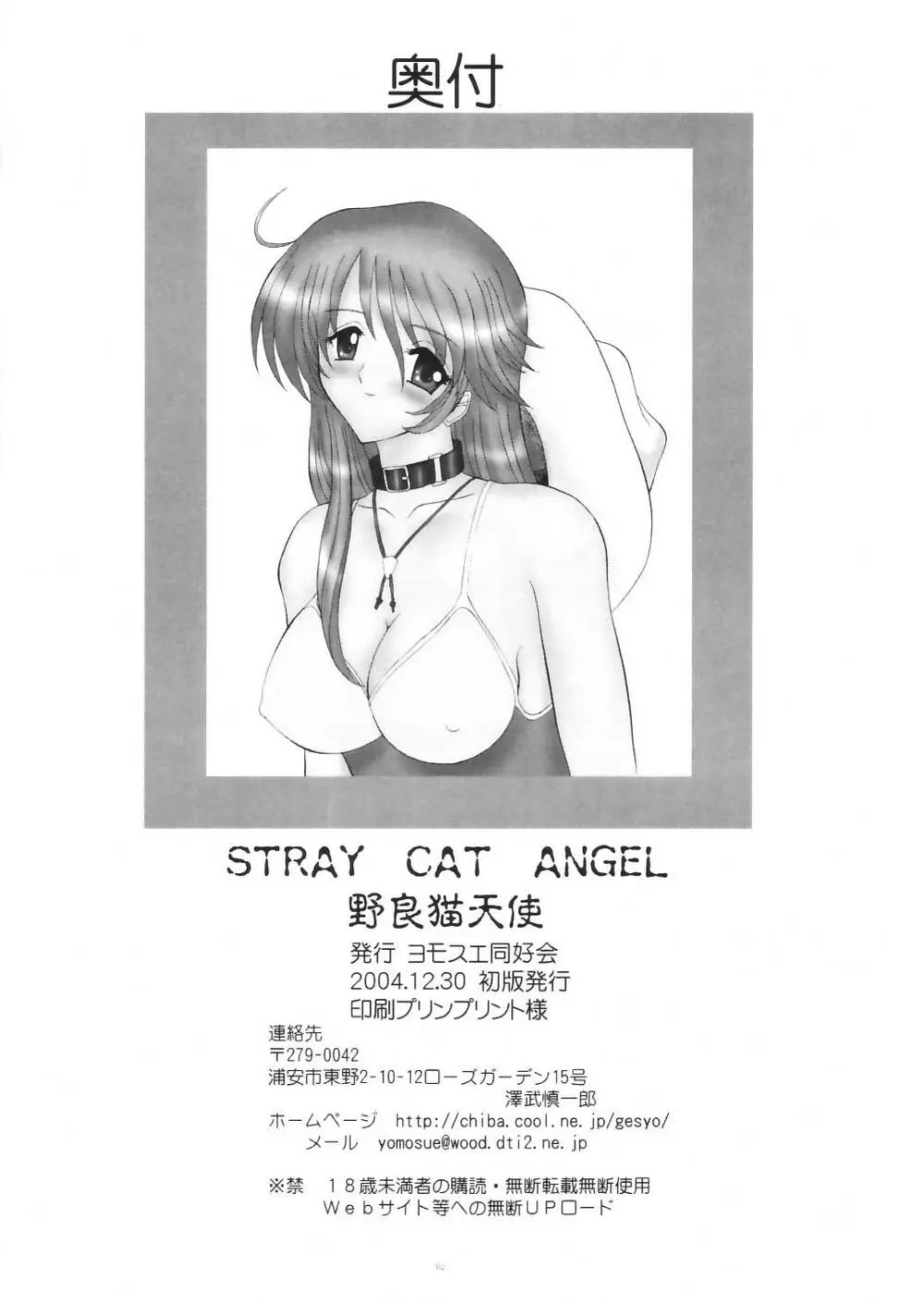 STRAY CAT ANGEL Page.62