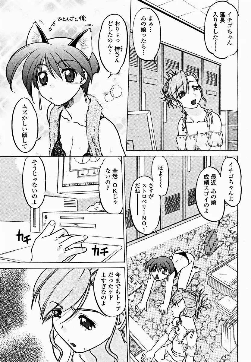 COMIC 桃姫 2004年11月号 Page.447