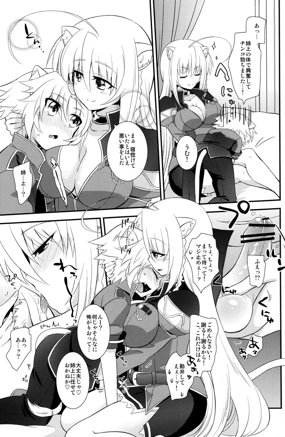 姉上のいうとおり Page.11