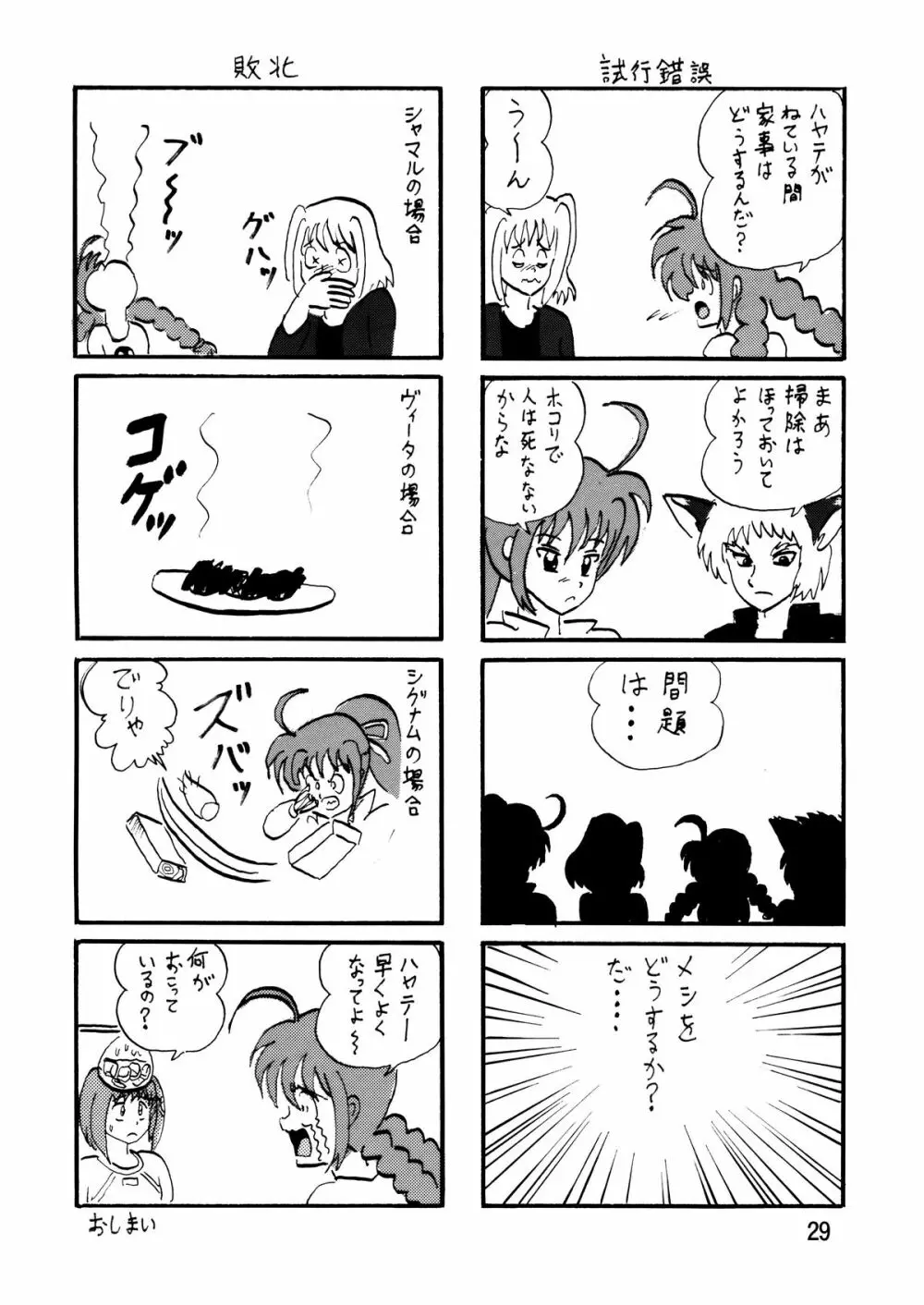 ストレージバインド2 Page.29