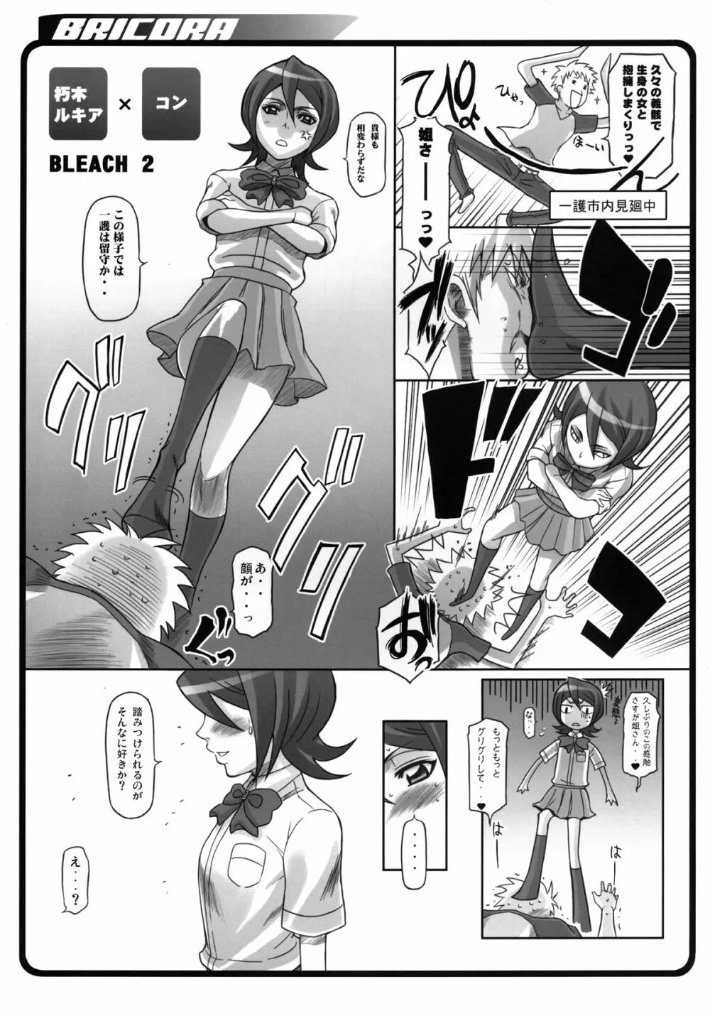 (C81) [ディオゲネスクラブ (灰川ヘムレン)] BRICOLA 総集編 (ブリーチ) デジタル版 Page.10