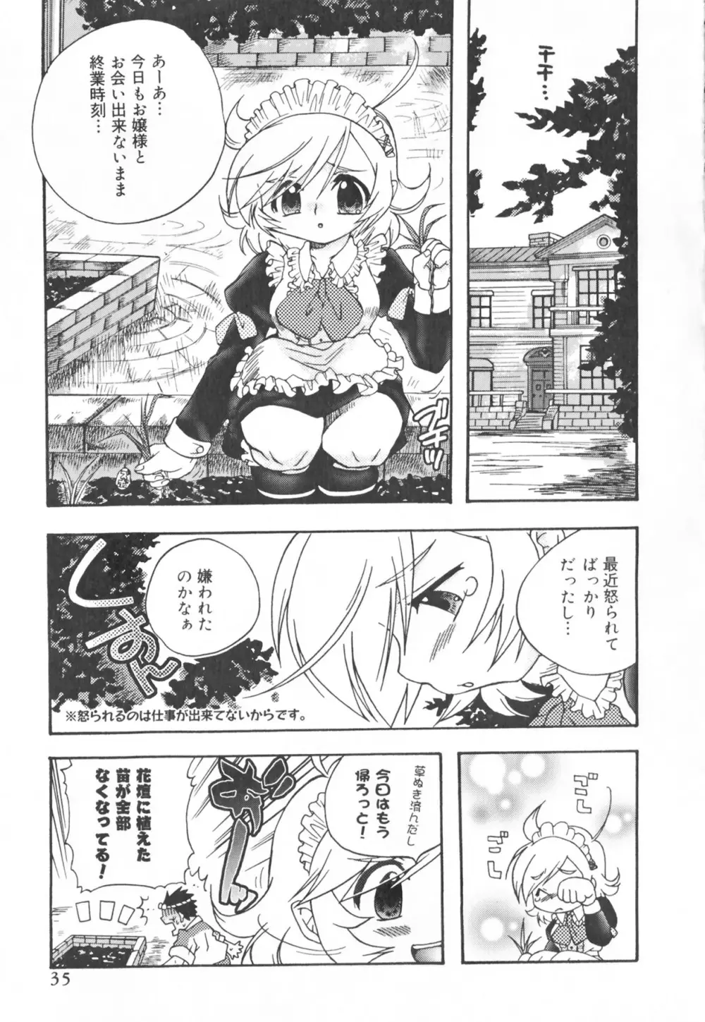 ふたなりコレクション Page.35