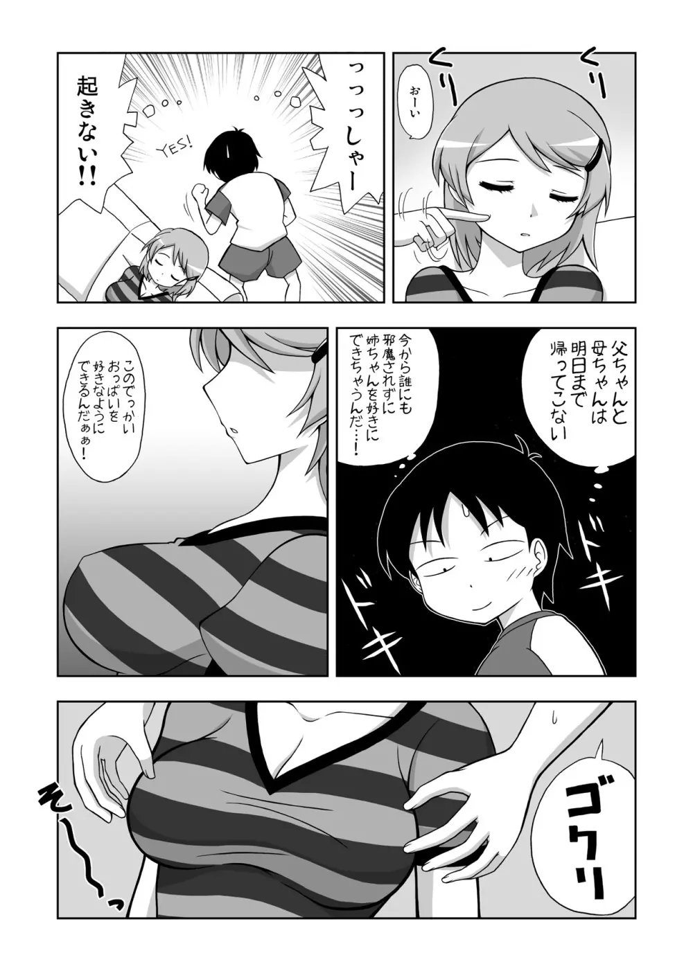 姉寝姦～あねかん～ Page.5