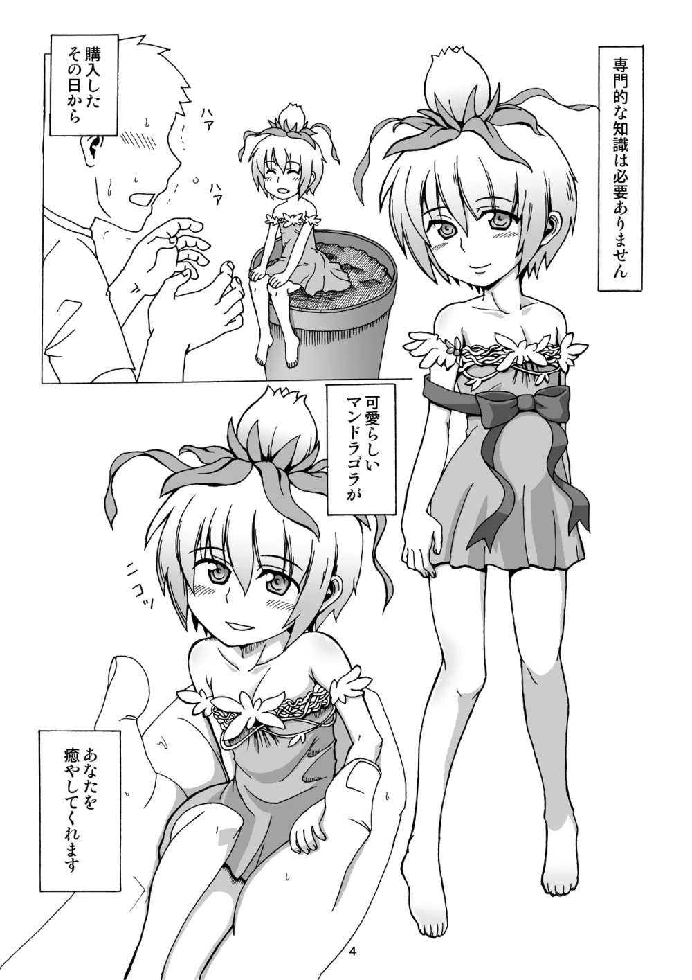 置くだけマンドラゴラ Page.3