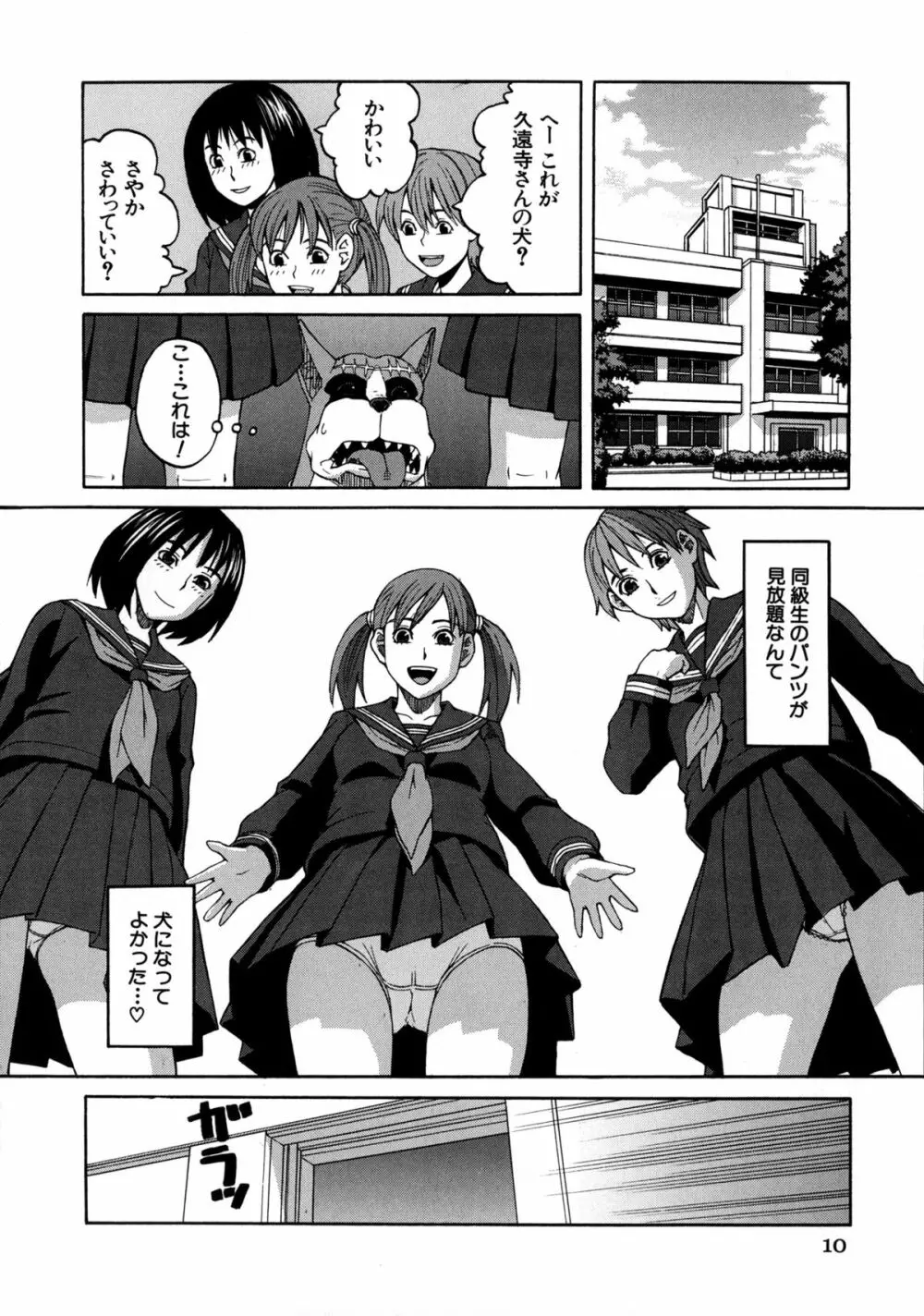 モテる犬の生きざま Page.12