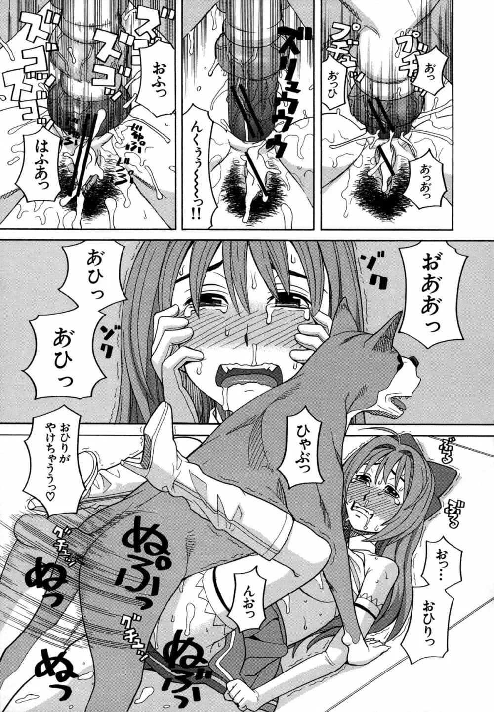 モテる犬の生きざま Page.91