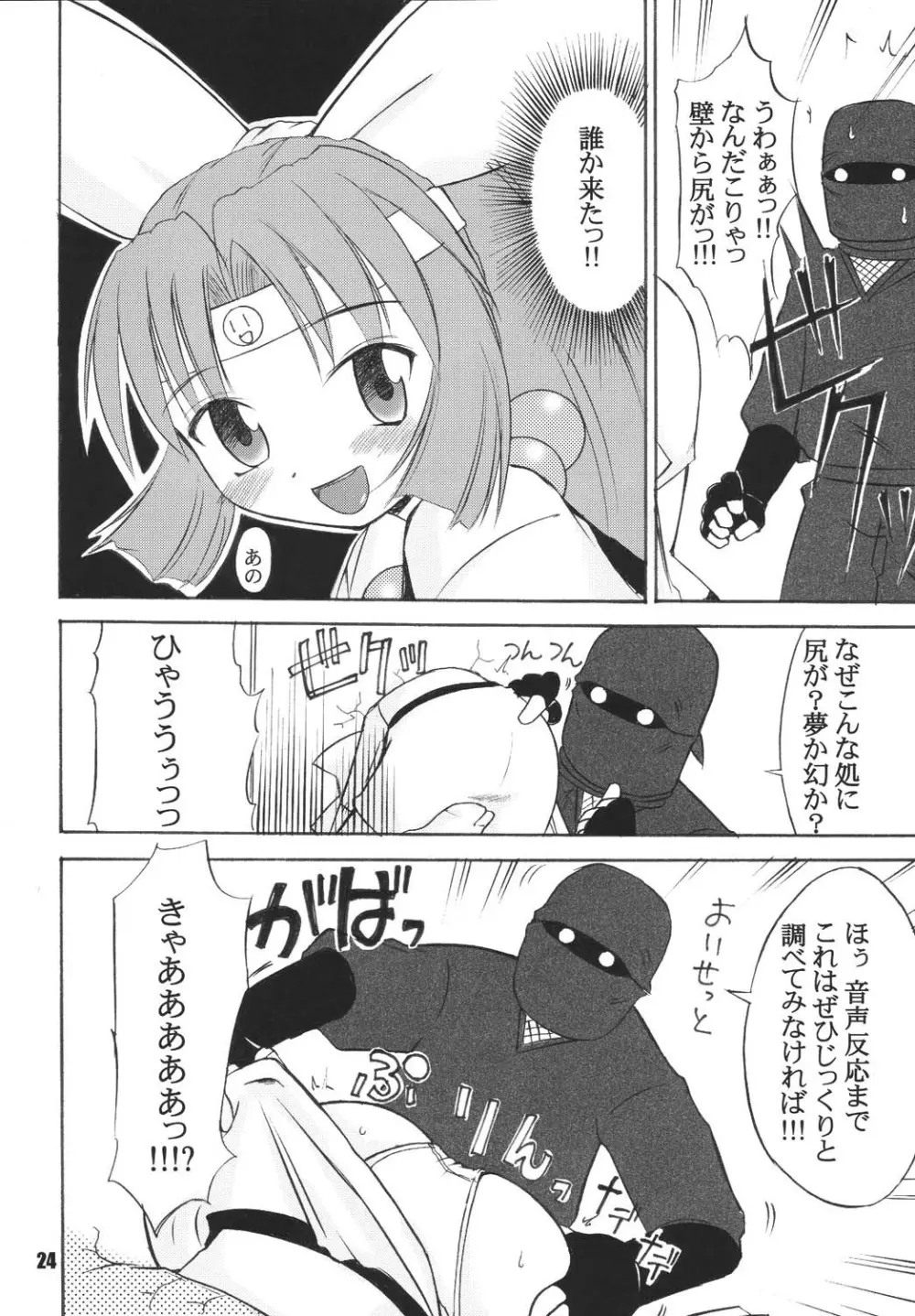 くのいち忍風帳―弐の巻― Page.24