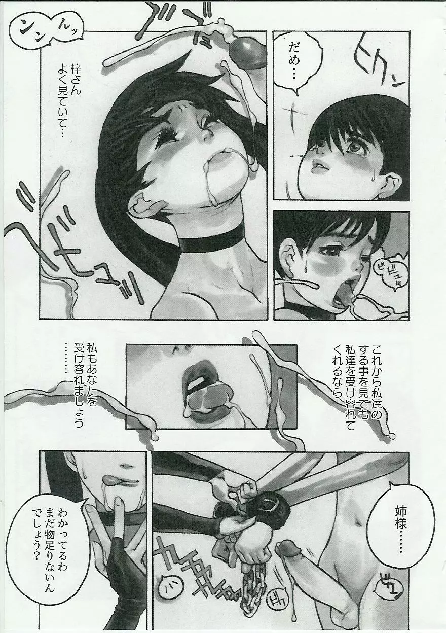 姉弟恋歌 Vol.04 Page.17