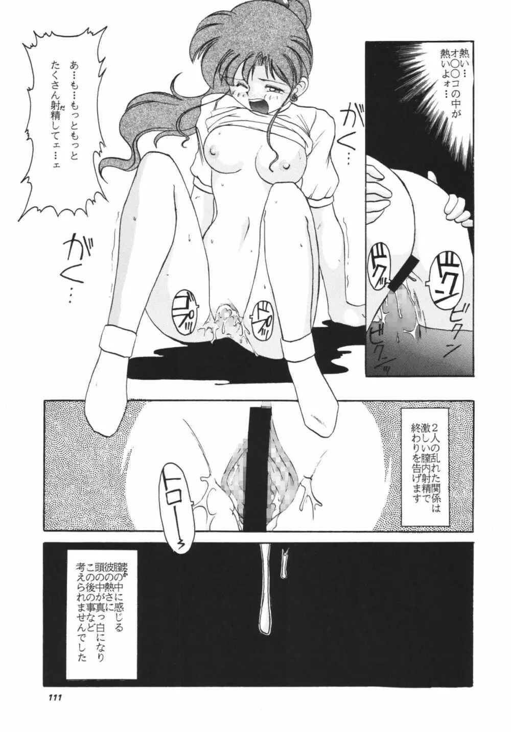 ムーンメモリーズVol.2 Page.111