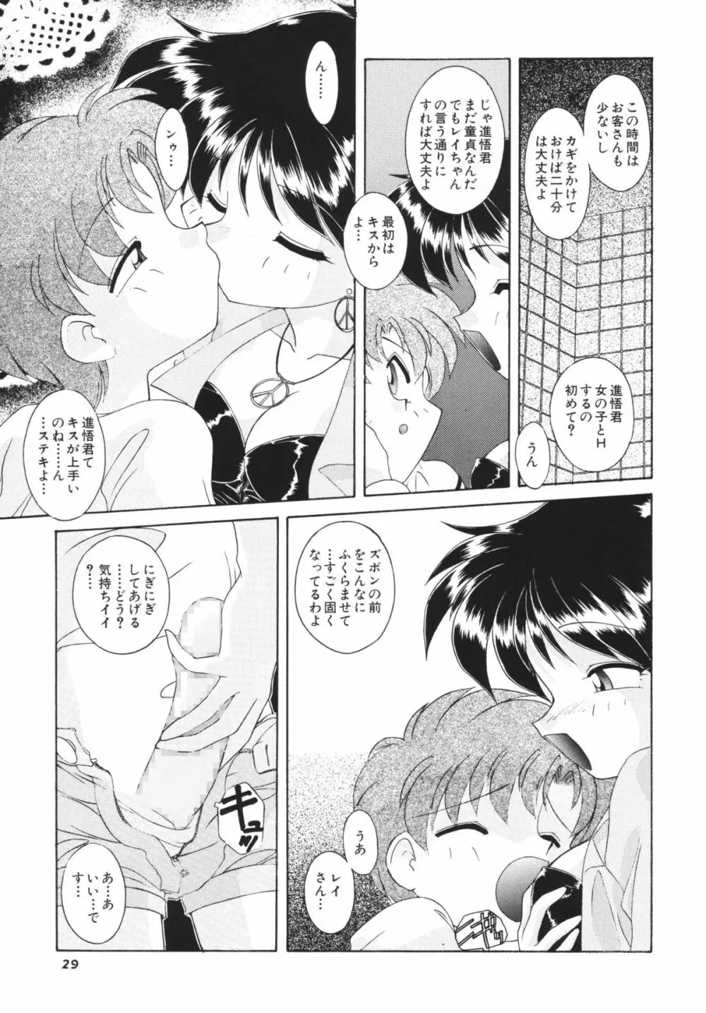 ムーンメモリーズVol.2 Page.29