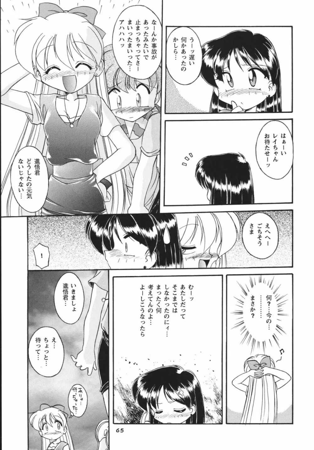 ムーンメモリーズVol.2 Page.65