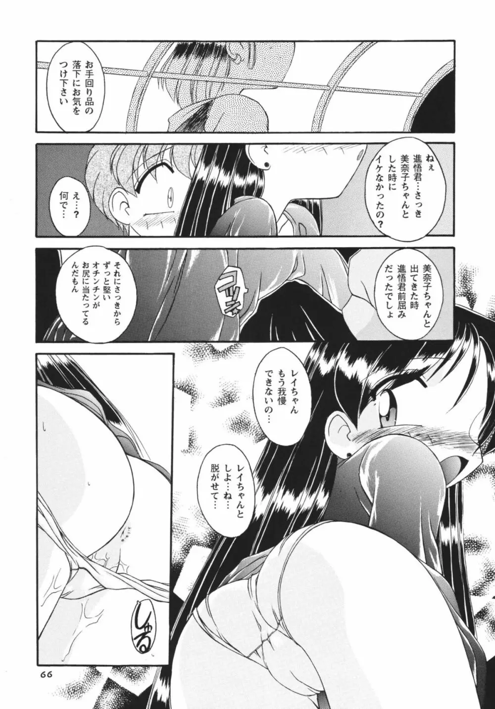 ムーンメモリーズVol.2 Page.66