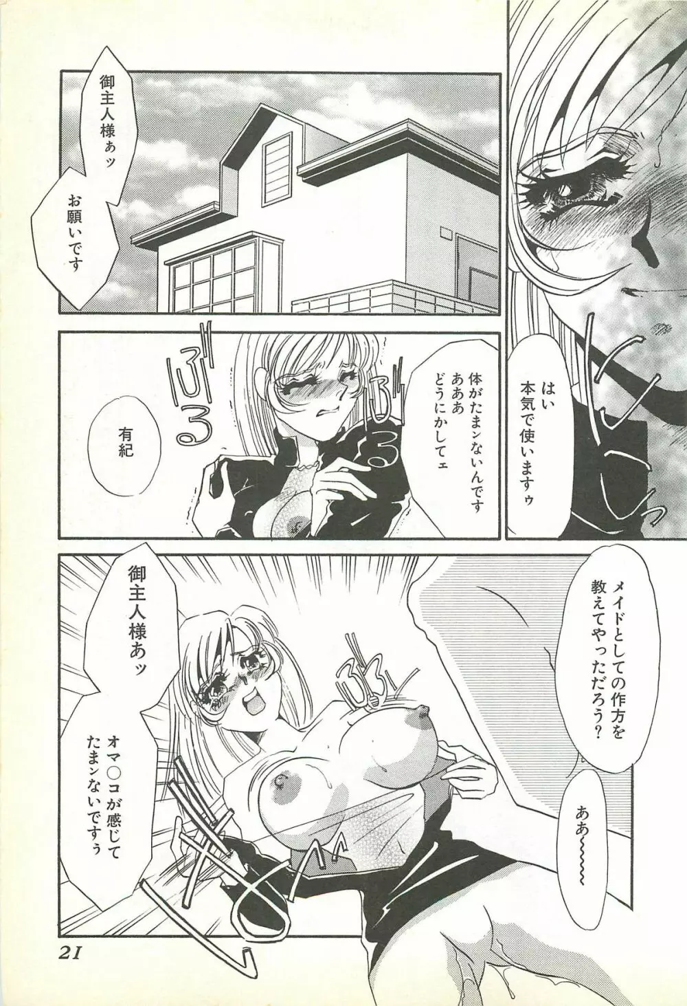 恥虐の部屋 Page.18