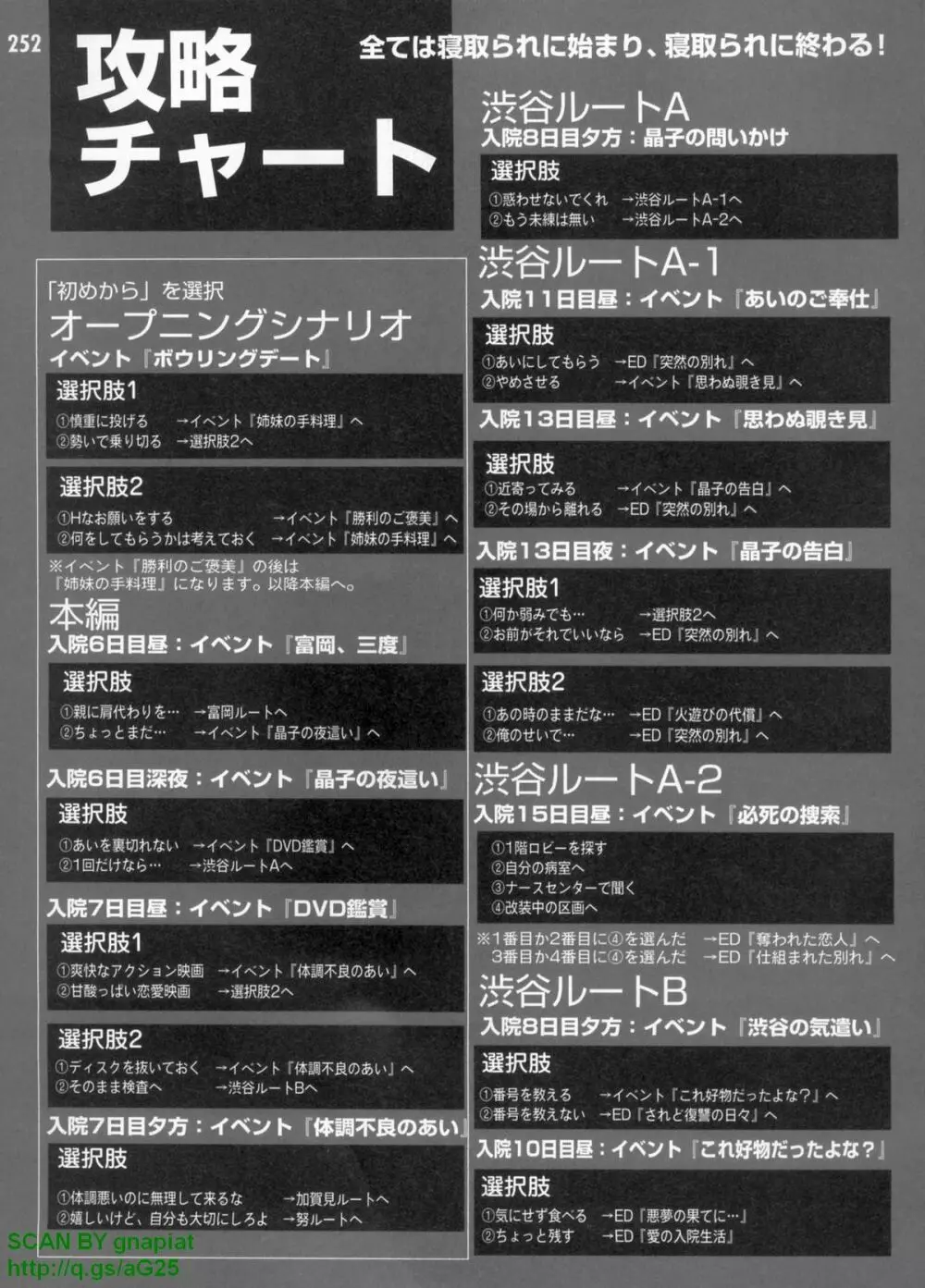 パソコンパラダイス 2009年8月号 Vol.207 Page.252