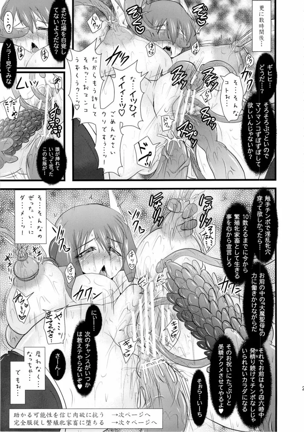 煌盾装騎エルセイン Vol.12 NETHER LABORATORY 2 Page.26