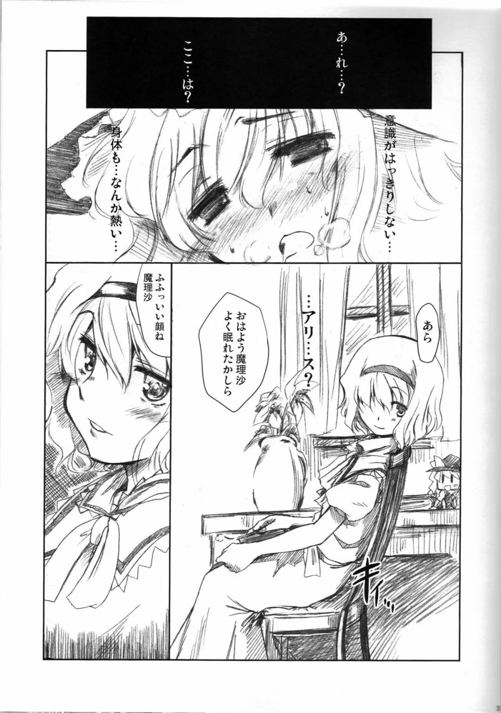 魔理沙のえっちな本 Page.3