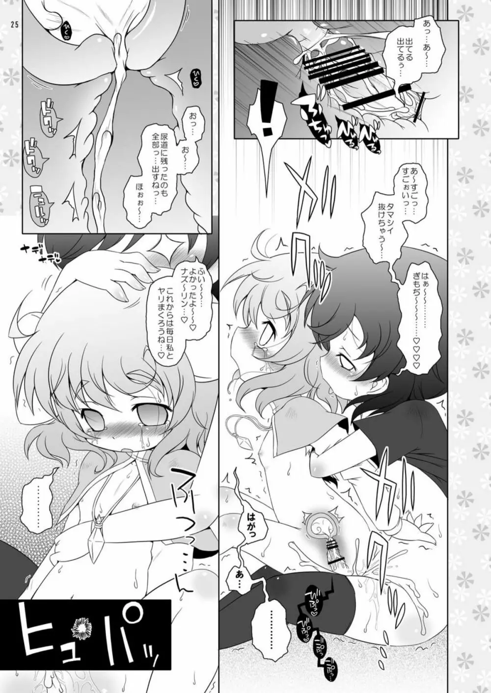 わたしのナズーリン2 Page.25