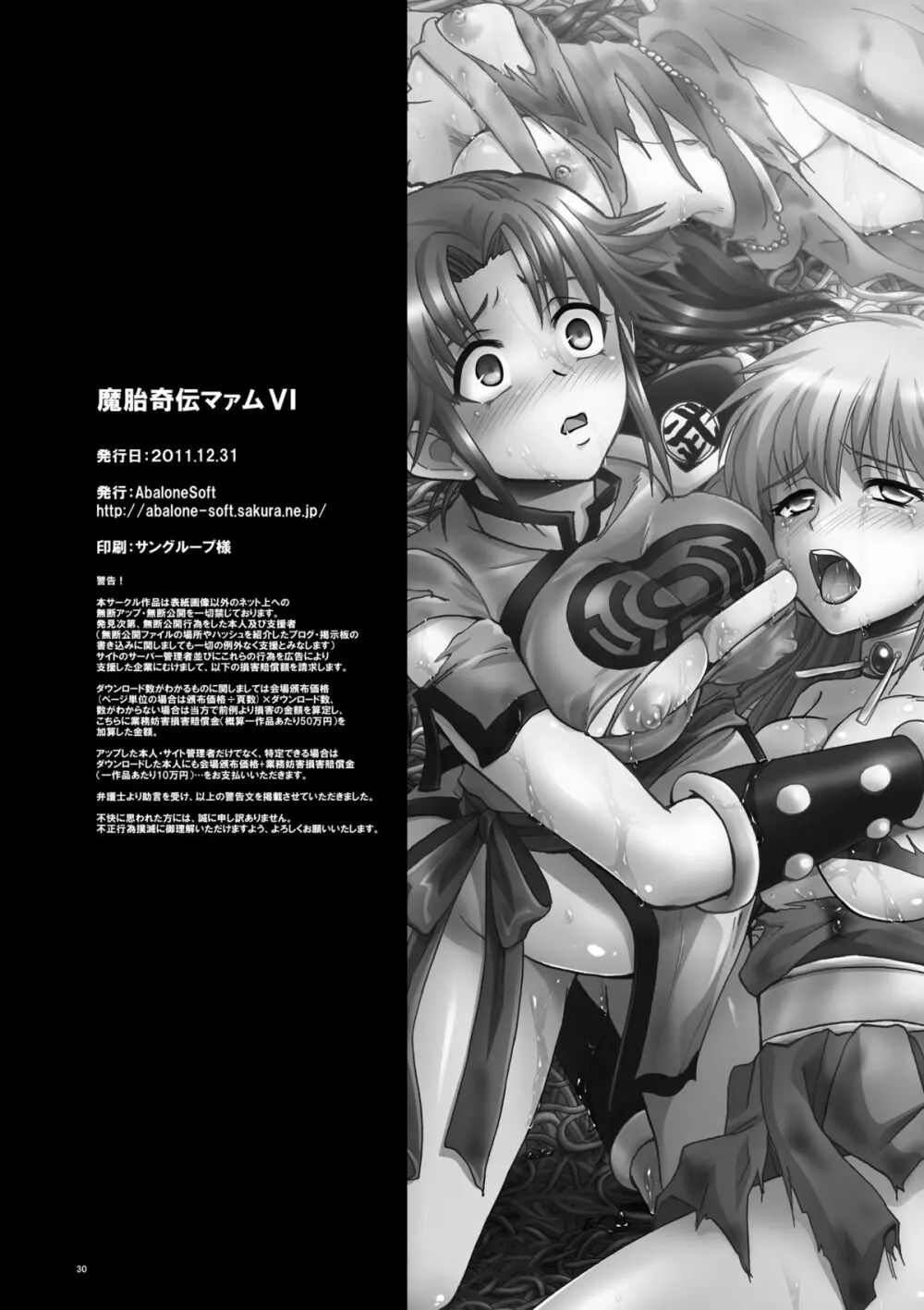 魔胎奇伝マァムVI ~翻弄・光明・王女の悲恋~ Page.30