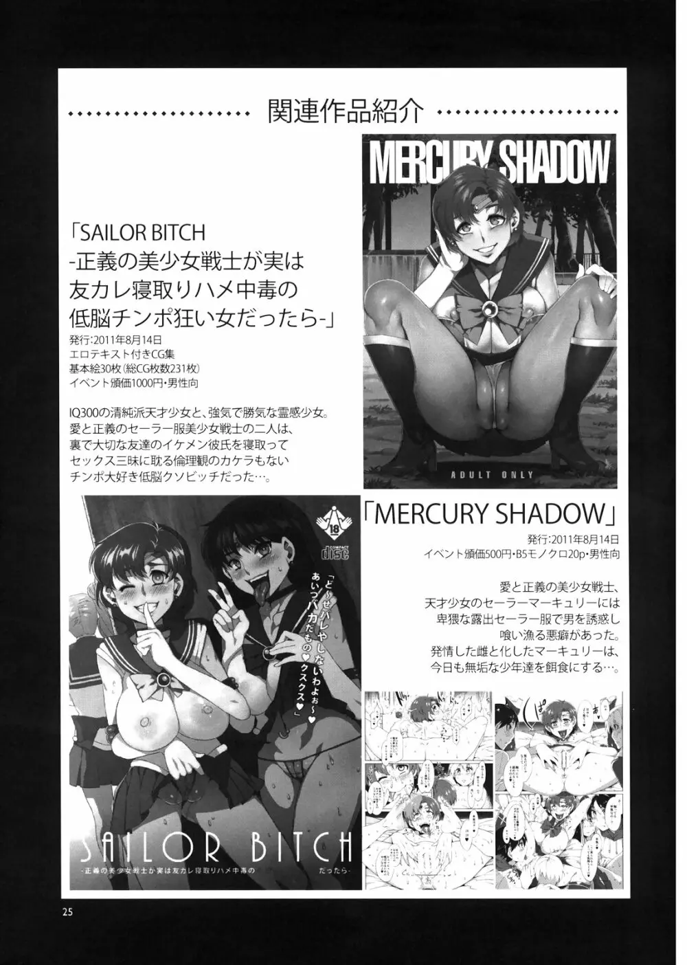 MERCURY SHADOW 2 Page.25