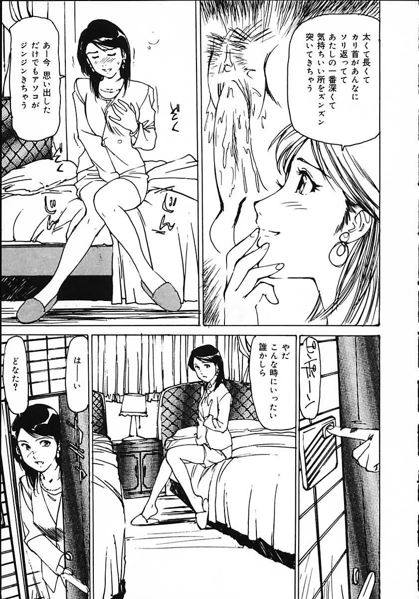 人妻猟姦日記 Page.67