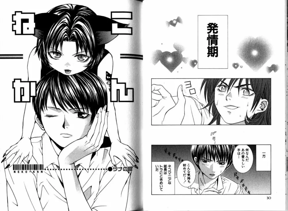 Akana Meiko - Nekokan Page.18