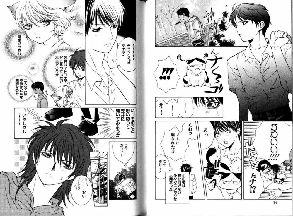 Akana Meiko - Nekokan Page.20
