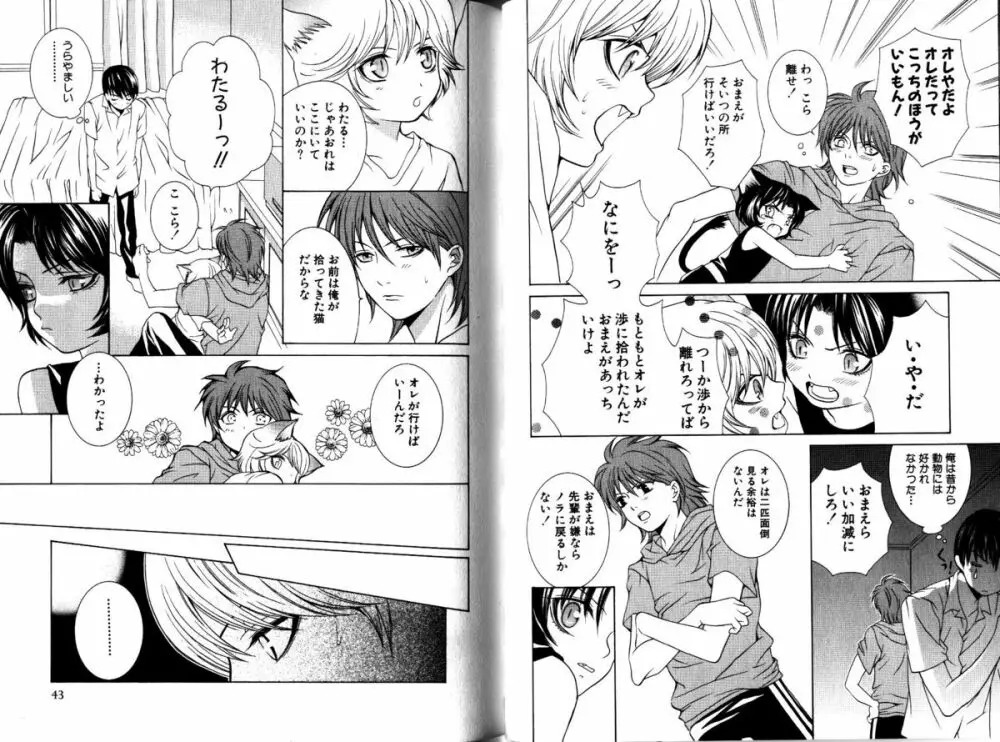 Akana Meiko - Nekokan Page.24