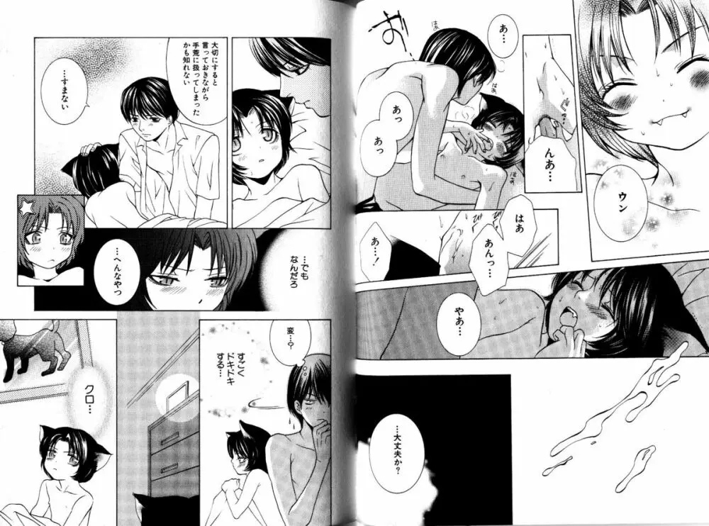 Akana Meiko - Nekokan Page.29