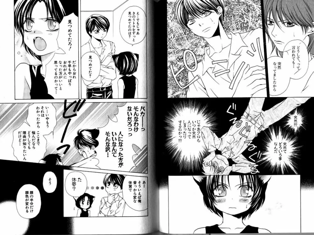 Akana Meiko - Nekokan Page.64