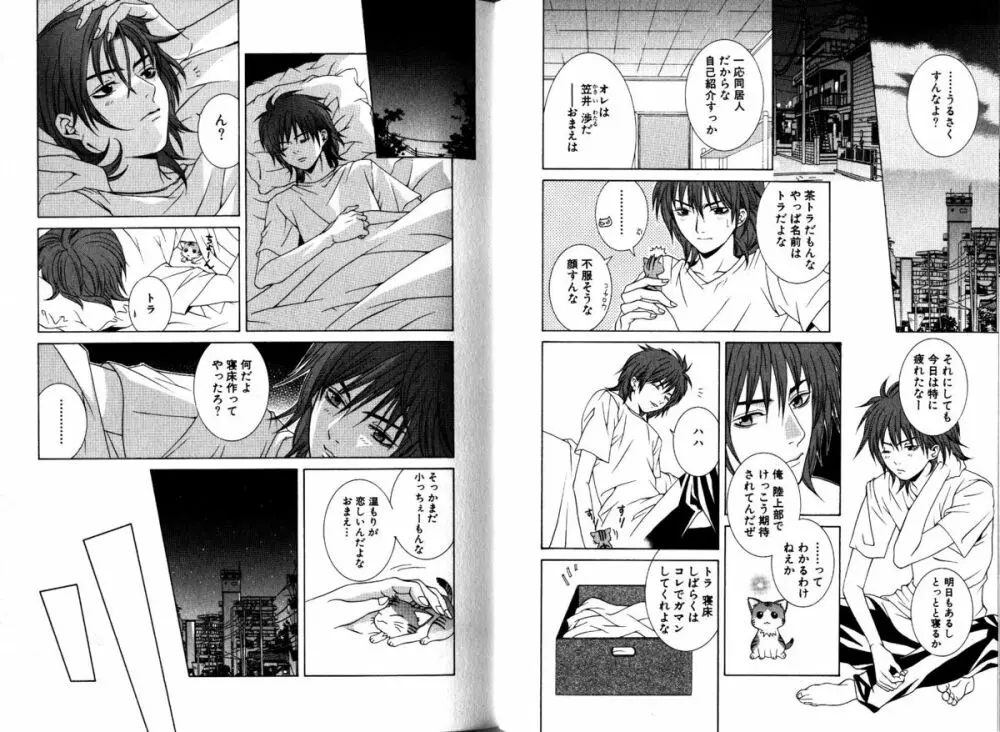 Akana Meiko - Nekokan Page.8