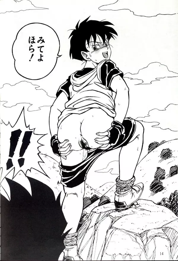 DRAGONBALL H まぐわい巻二 Page.13