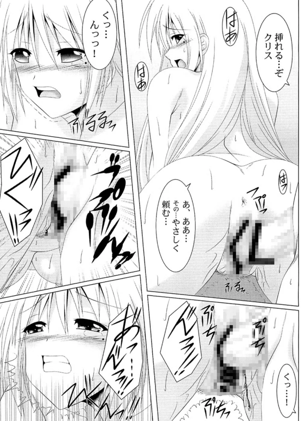 乙女よ伴侶を抱け!! Page.17