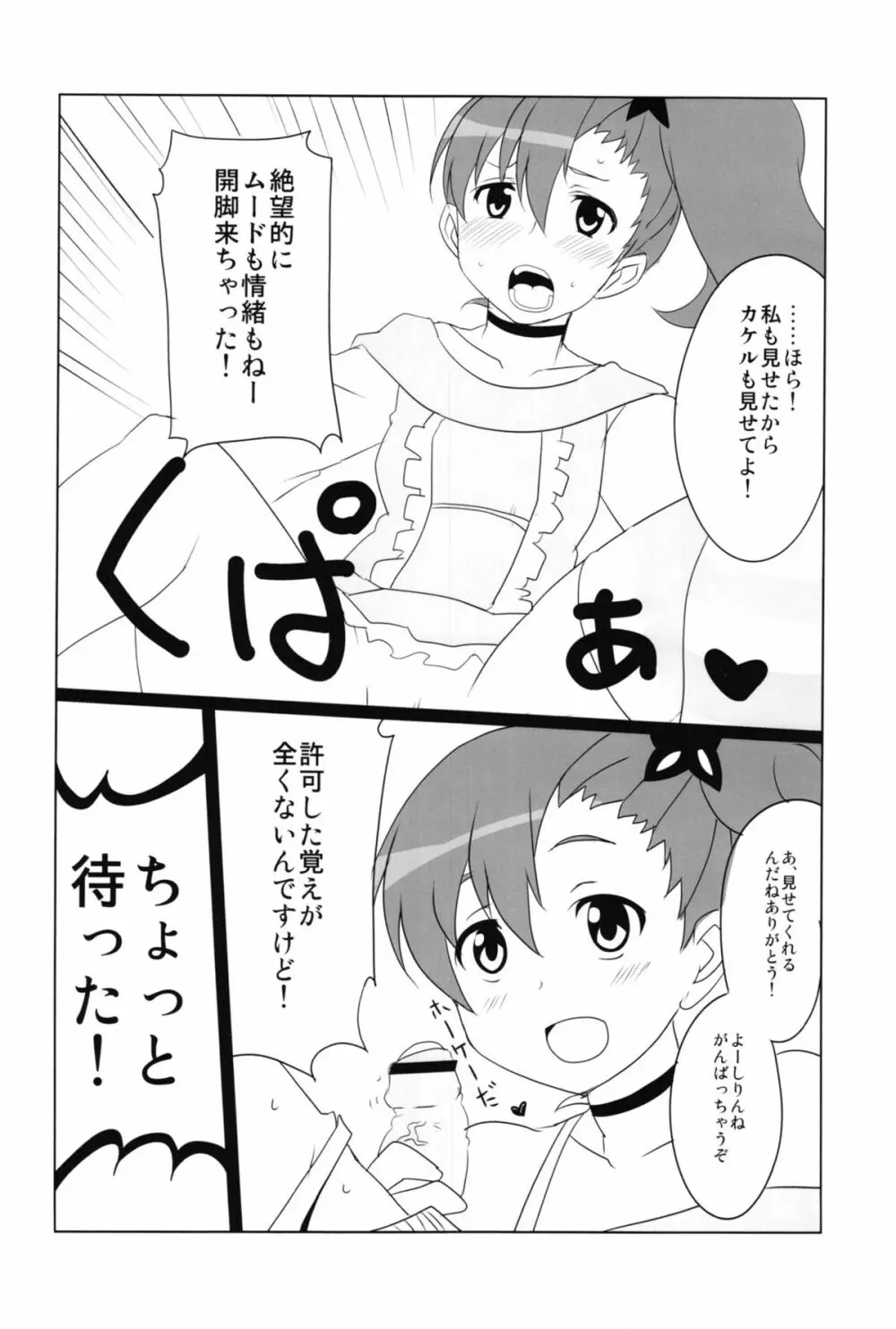 シタドリキャンペーン Page.10