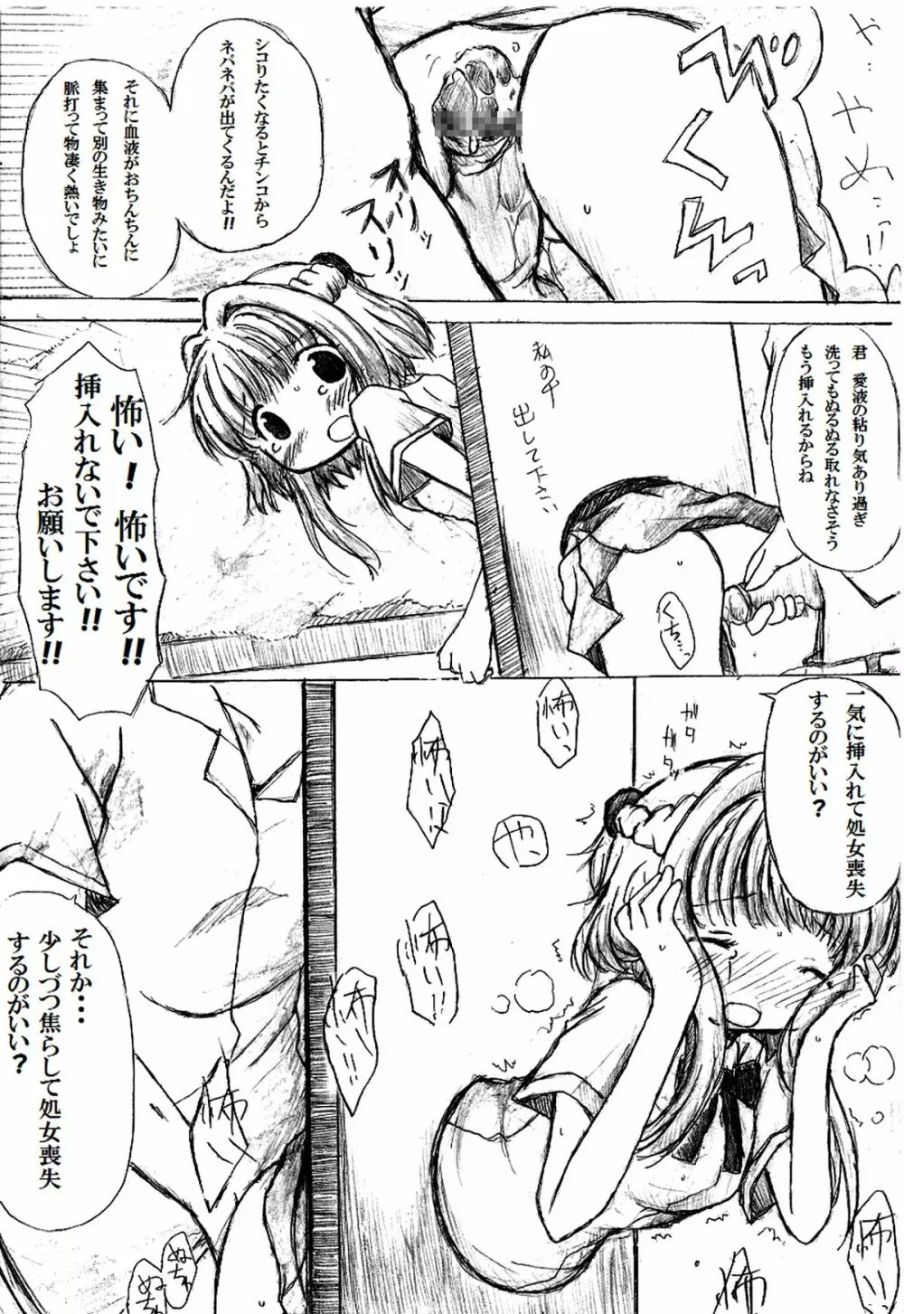 穴があったから入れたい。 Page.12