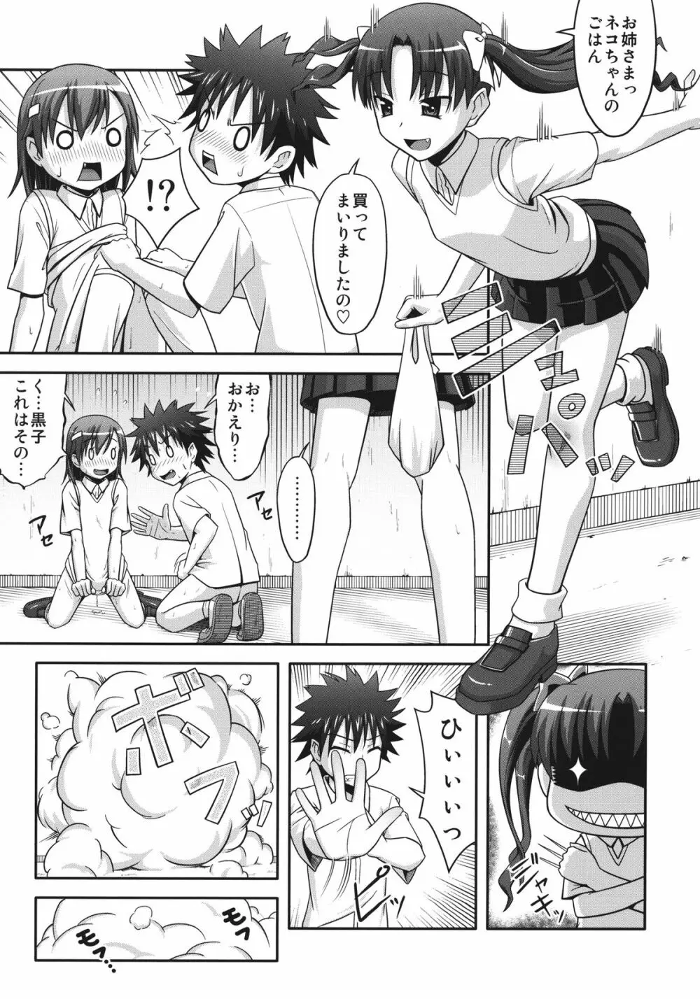 とある学者のマル秘レポート Page.23