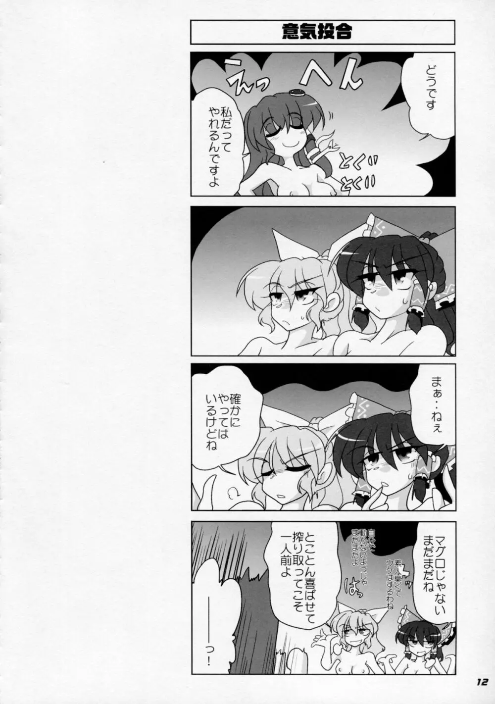 TOHO N+ M3 東方Project) Page.13