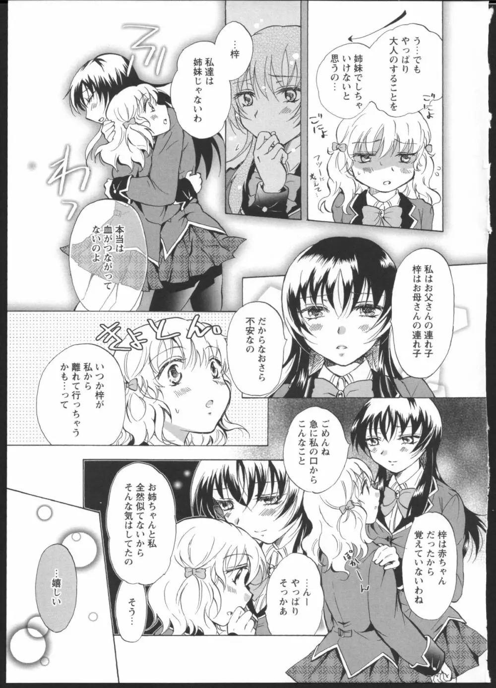 私のイケナイお姉ちゃん Page.11