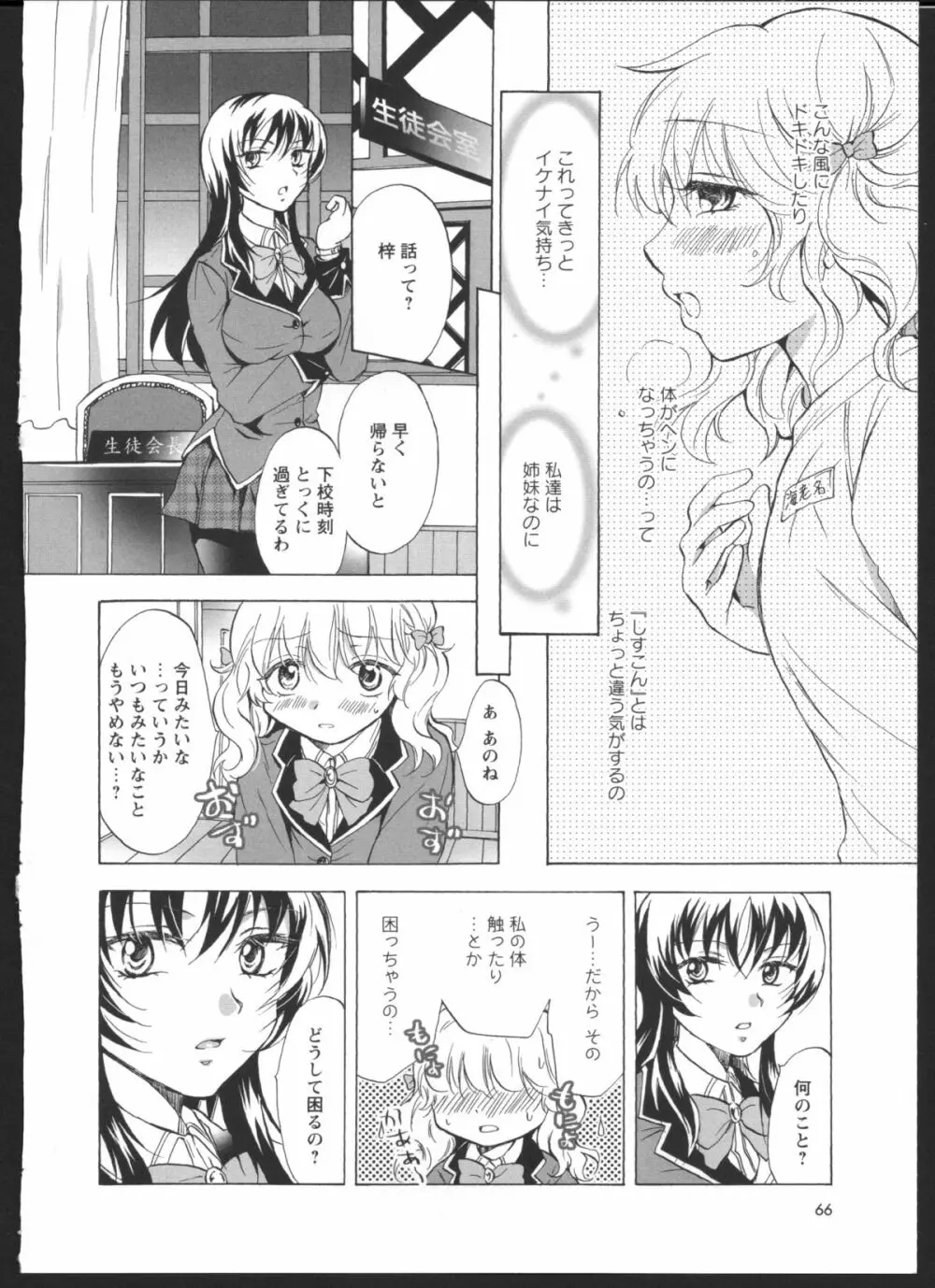 私のイケナイお姉ちゃん Page.8