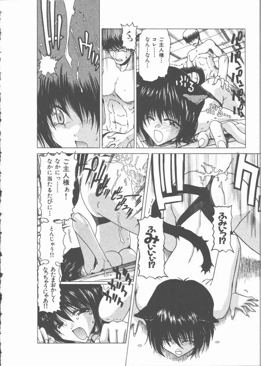 ネコ耳大戦 Page.24