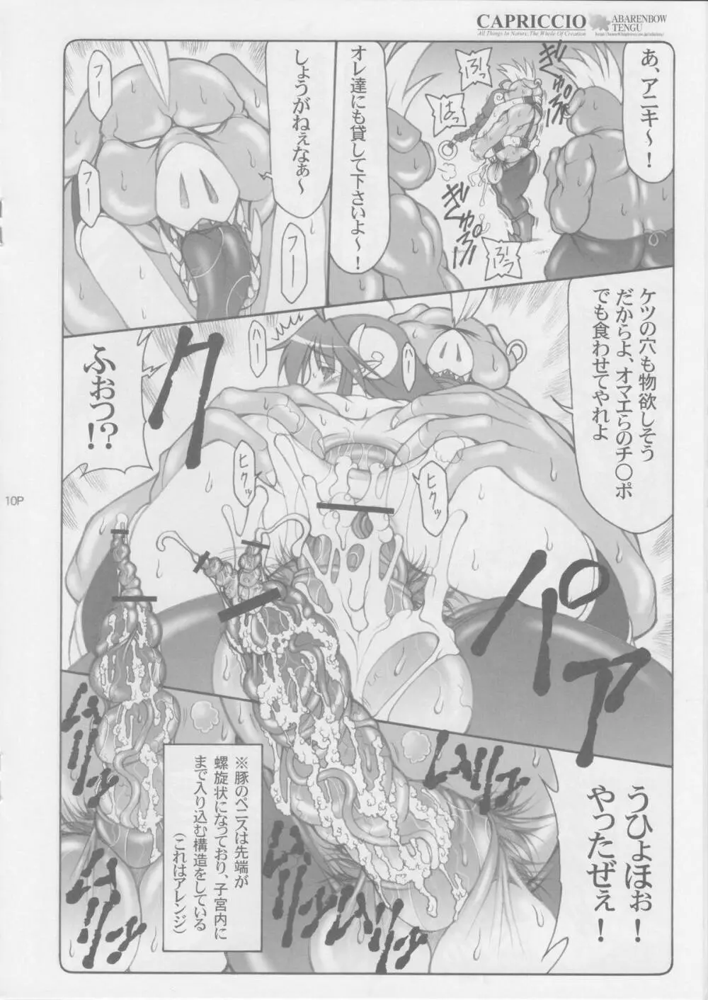 CAPRICCIO 気まぐれ誌 vol.1 Page.10