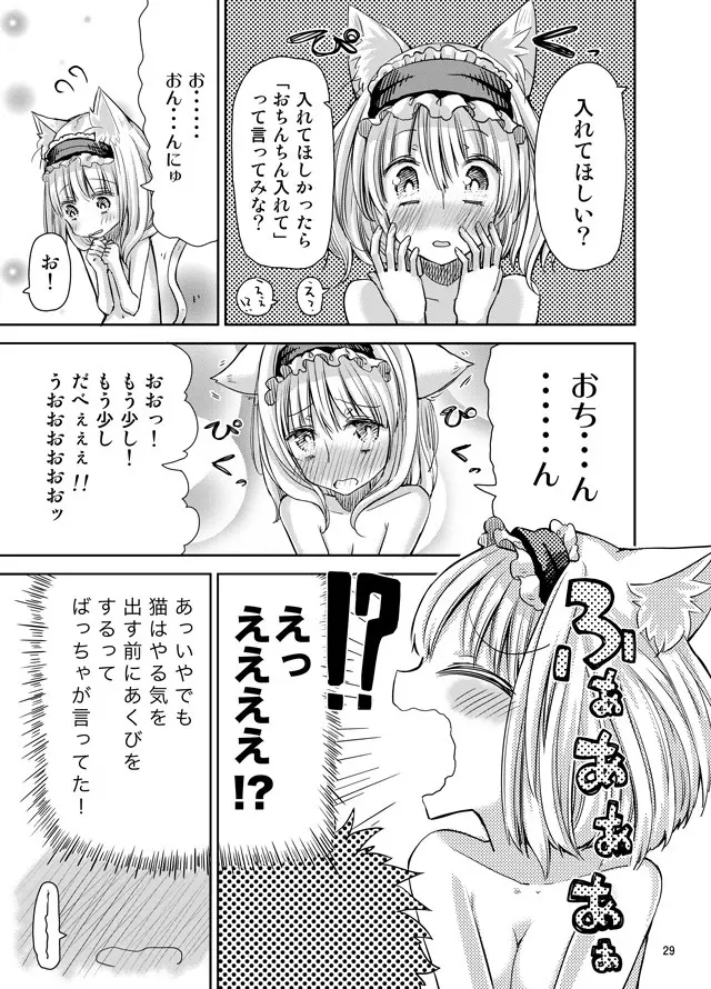 えっちなニャリスの作り方。 Page.28